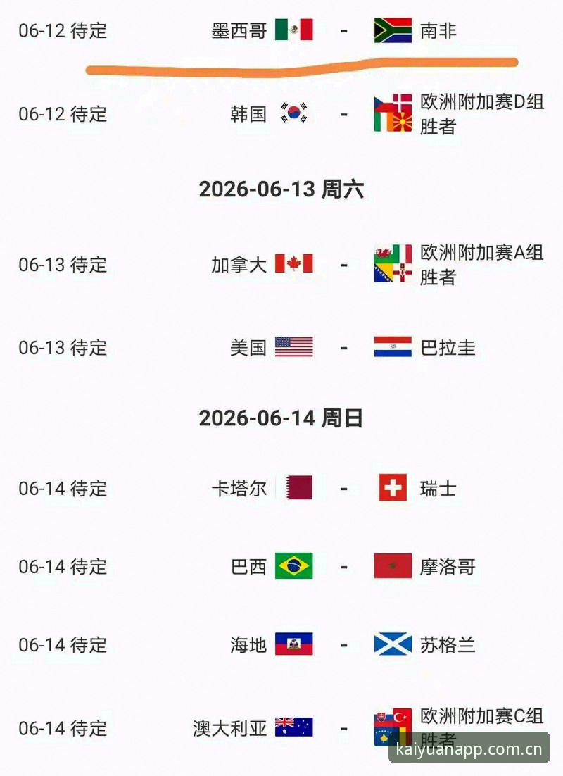 世界杯观赛“冷场”深度分析：签证困局与地缘政治如何重塑全球球迷的赴美之旅